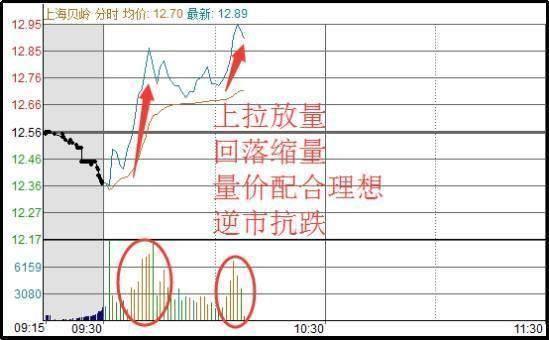 <strong>股票T+0操作技巧全解析，掌握最佳时间点与实战经验</strong>
