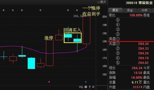 短线投资者看盘技巧_股市涨停板抓牛股_强势股回调买入选股公式