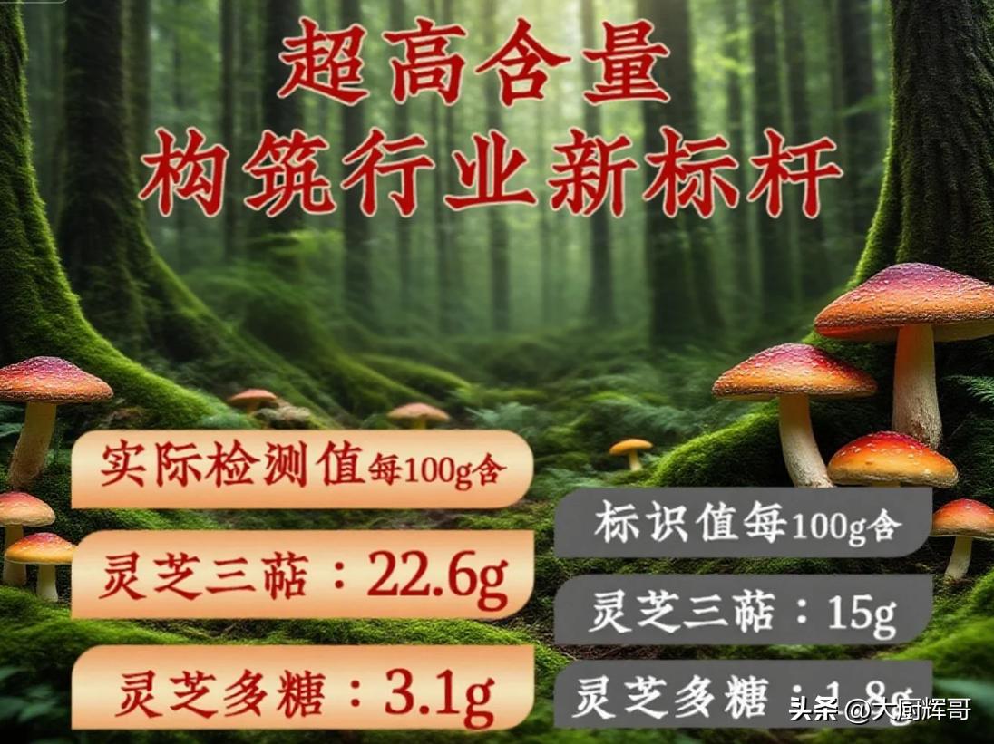 灵芝孢子粉品牌排名_芝康纪破壁灵芝孢子粉评测_吉林敖东的灵芝孢子粉哪里有卖