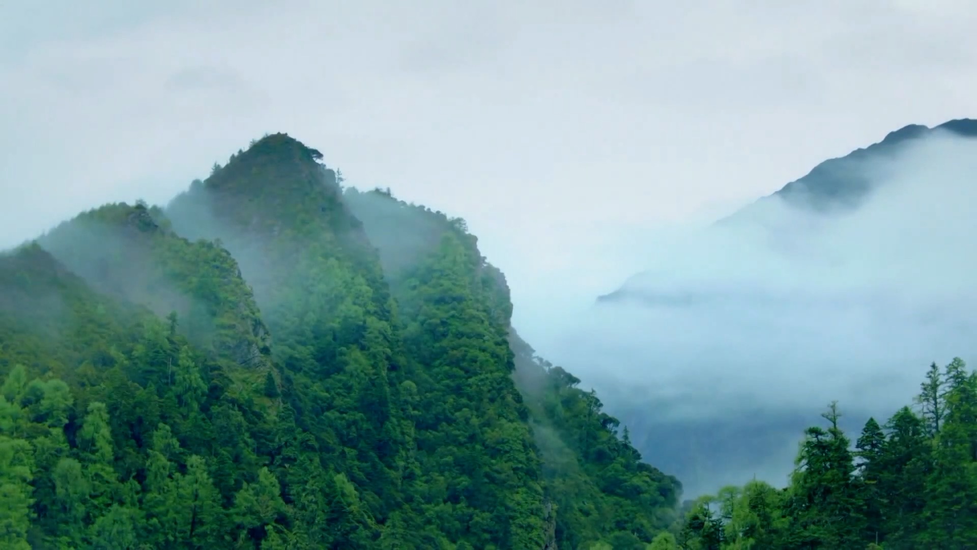 十四五规划 高质量发展 产业升级_大盘均衡股有哪些