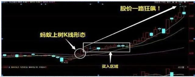 最佳止盈点20%_股市神奇数字口诀_股票神奇数字