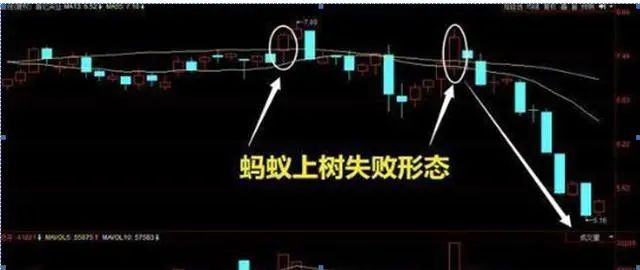 股市神奇数字口诀_股票神奇数字_最佳止盈点20%