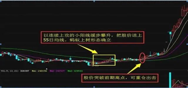 最佳止盈点20%_股市神奇数字口诀_股票神奇数字