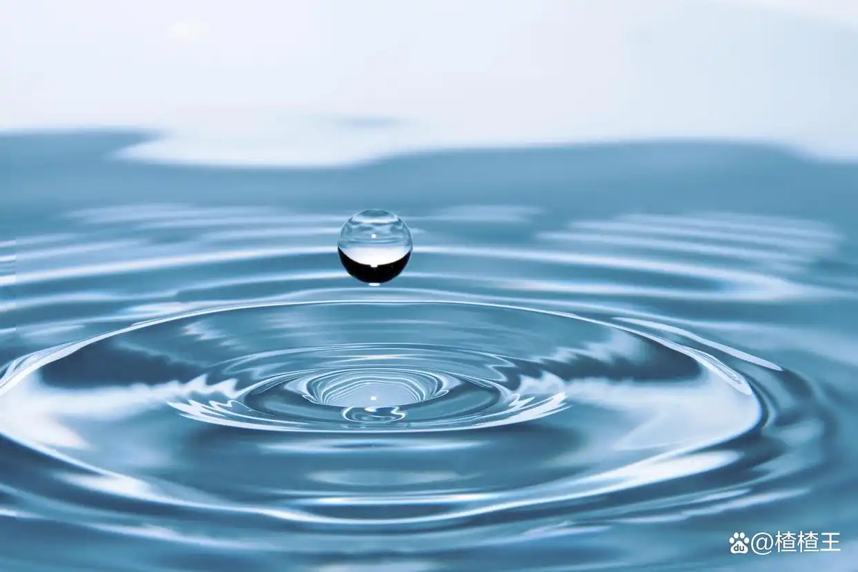 炒股成功心理障碍_克服炒股恐惧贪婪_炒股炒的是心态