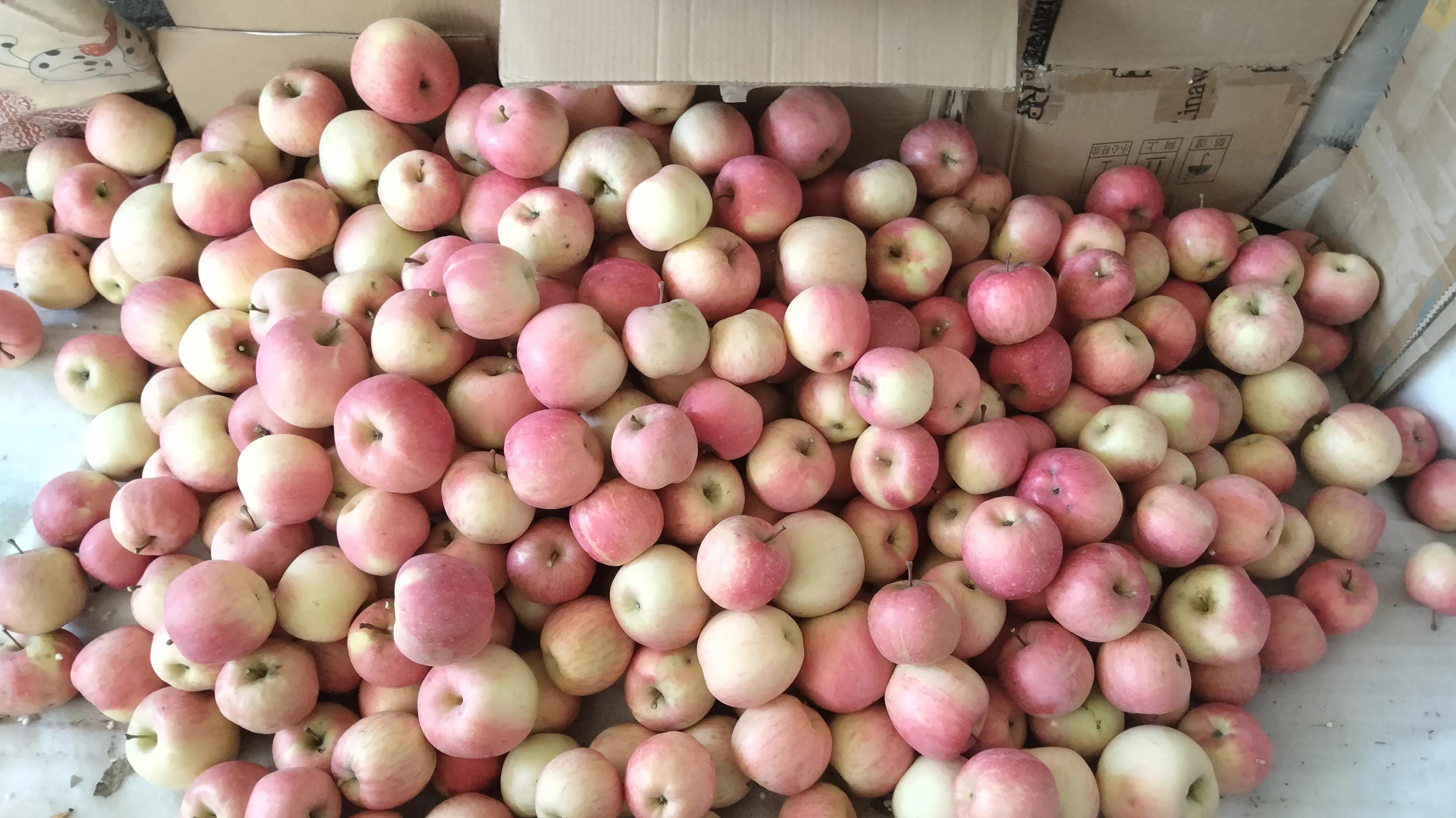 农村冬天赚钱方式_卖煤安装暖气_干什么赚钱?