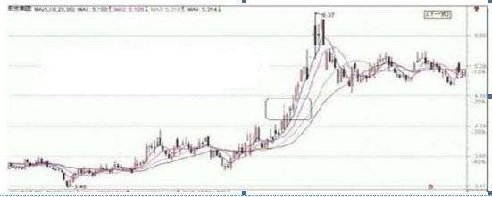精准筛选A股牛股_中长线投资者牛股标准_涨停选股法
