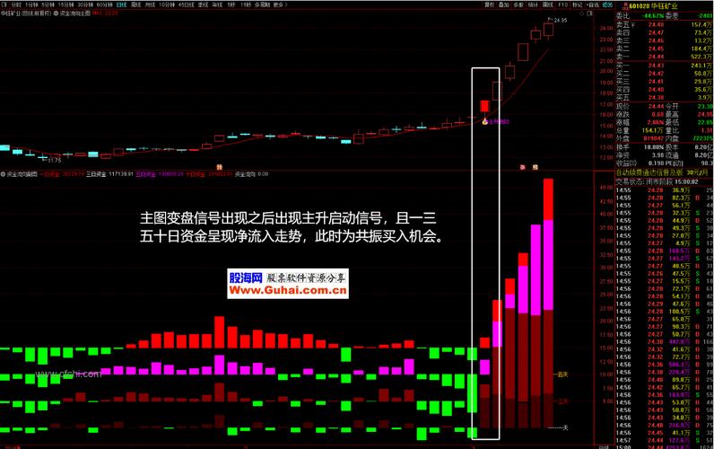 资金流向与技术指标结合_通达信短线交易攻略_通达信尾盘选股