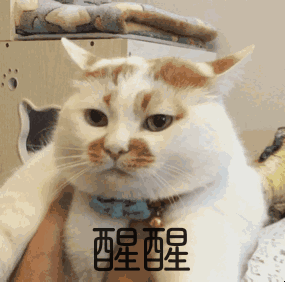 山东49000互助理财_网上买彩票被骗案例_网上彩票投资骗局