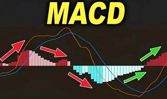 日周月kdj金叉选股_MACD指标看懂周线走势_周线MACD金叉买入法