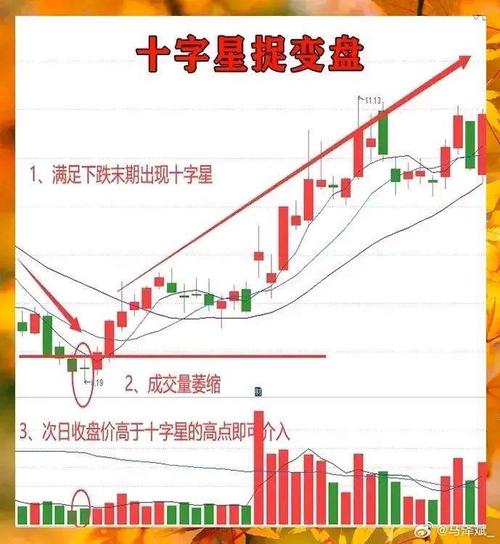 十字星抓涨停实战技巧_基本面选股技巧_投资的基本面分析