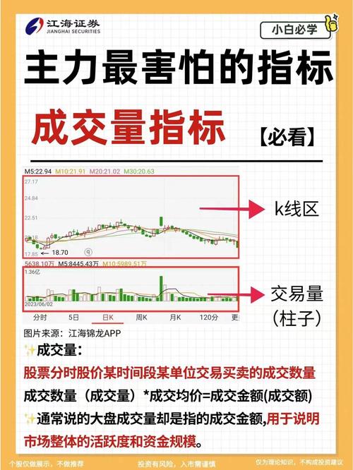 炒股必看！股票基本面分析得看啥数据？一文给你讲清楚
