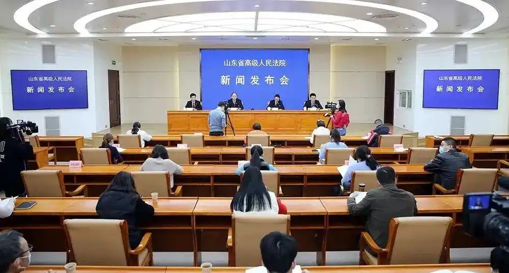 山东法院商事审判案例_创业板上市法律实务及典型案例分析_民法典新确立原则应用