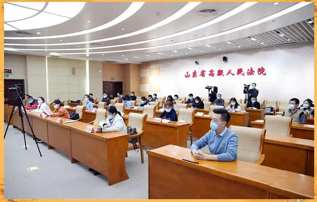 山东法院商事审判案例_创业板上市法律实务及典型案例分析_民法典新确立原则应用