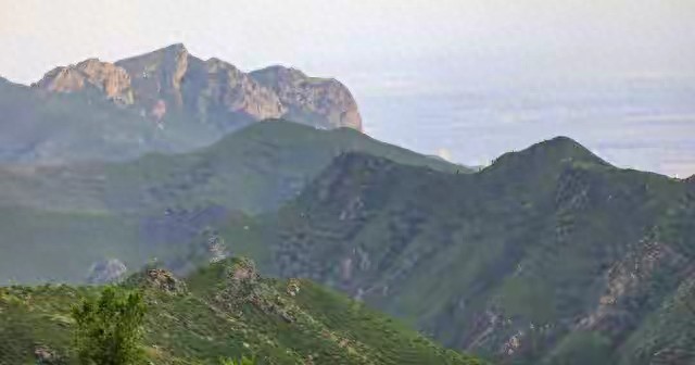 中年失业别慌！人人能尝试的赚钱新门路，低金额开启创业路