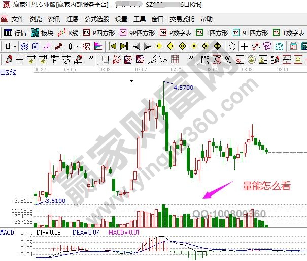 股票量能怎么看？掌握这些技巧，轻松把握个股走势