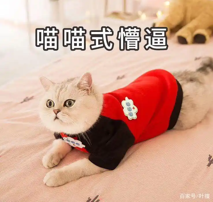 盐湖钾肥破产重组债权人亏惨了不同意方案_盐湖股份估值_盐湖股份连续两年净利润为负值变成ST盐湖